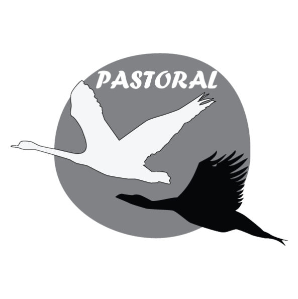 Imagen de Lema Pastoral 24/25